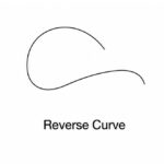 archwires reverse curve