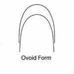 Super Elastic Oviod Archwires