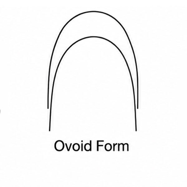 NiTi Archwires | Ovoid | DRC NZ