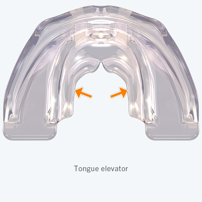 Myobrace for Adults Stage One - A1 - Image 8