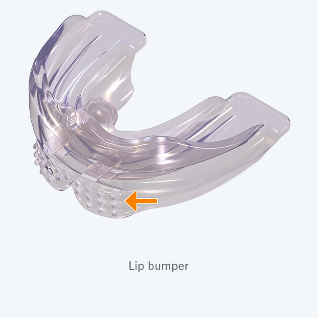 Myobrace for Adults Stage One - A1 - Image 6